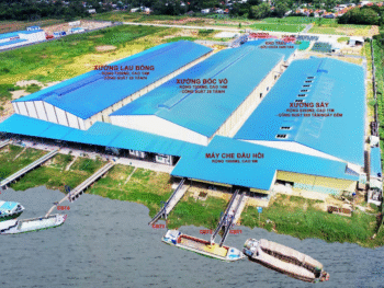 NHÀ MÁY XAY XÁT VÀ KHO LƯƠNG THỰC DỰ TRỮ - Dự Án 36