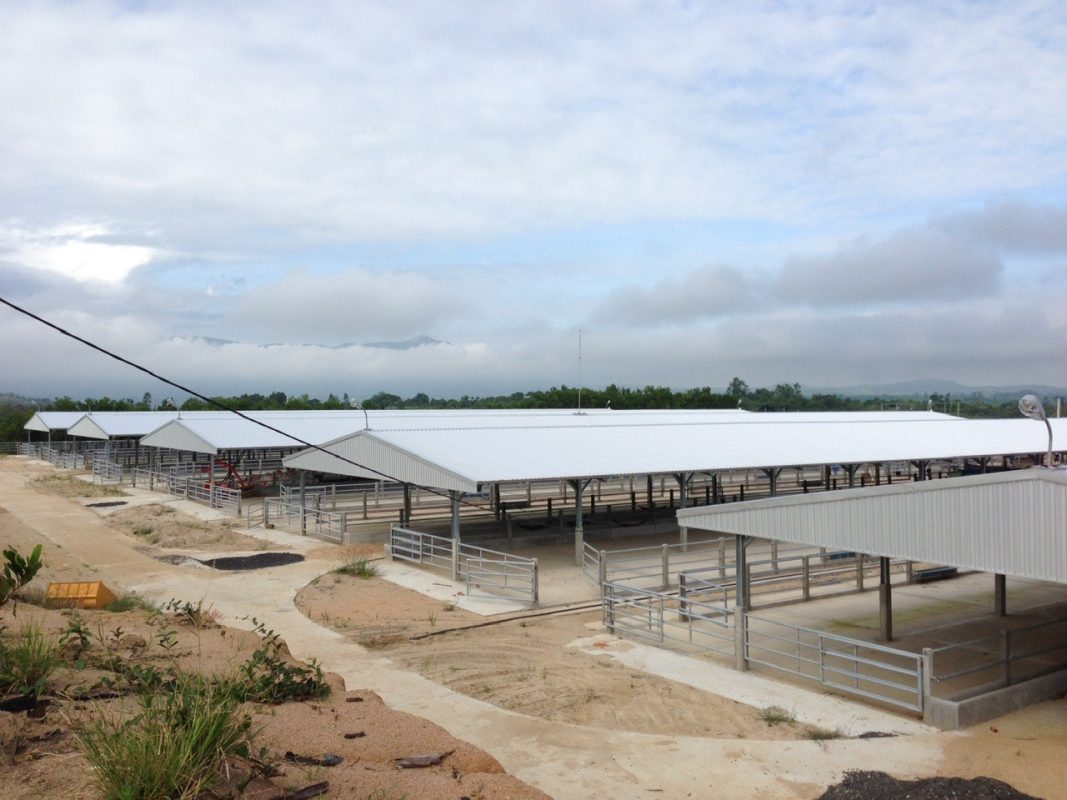 Xây dựng nhà tiền chế đẹp nhà xưởng công nghiệp hoạt động hiệu quả và chi phí tiết kiệm 2025 4 Xây dựng nhà tiền chế đẹp